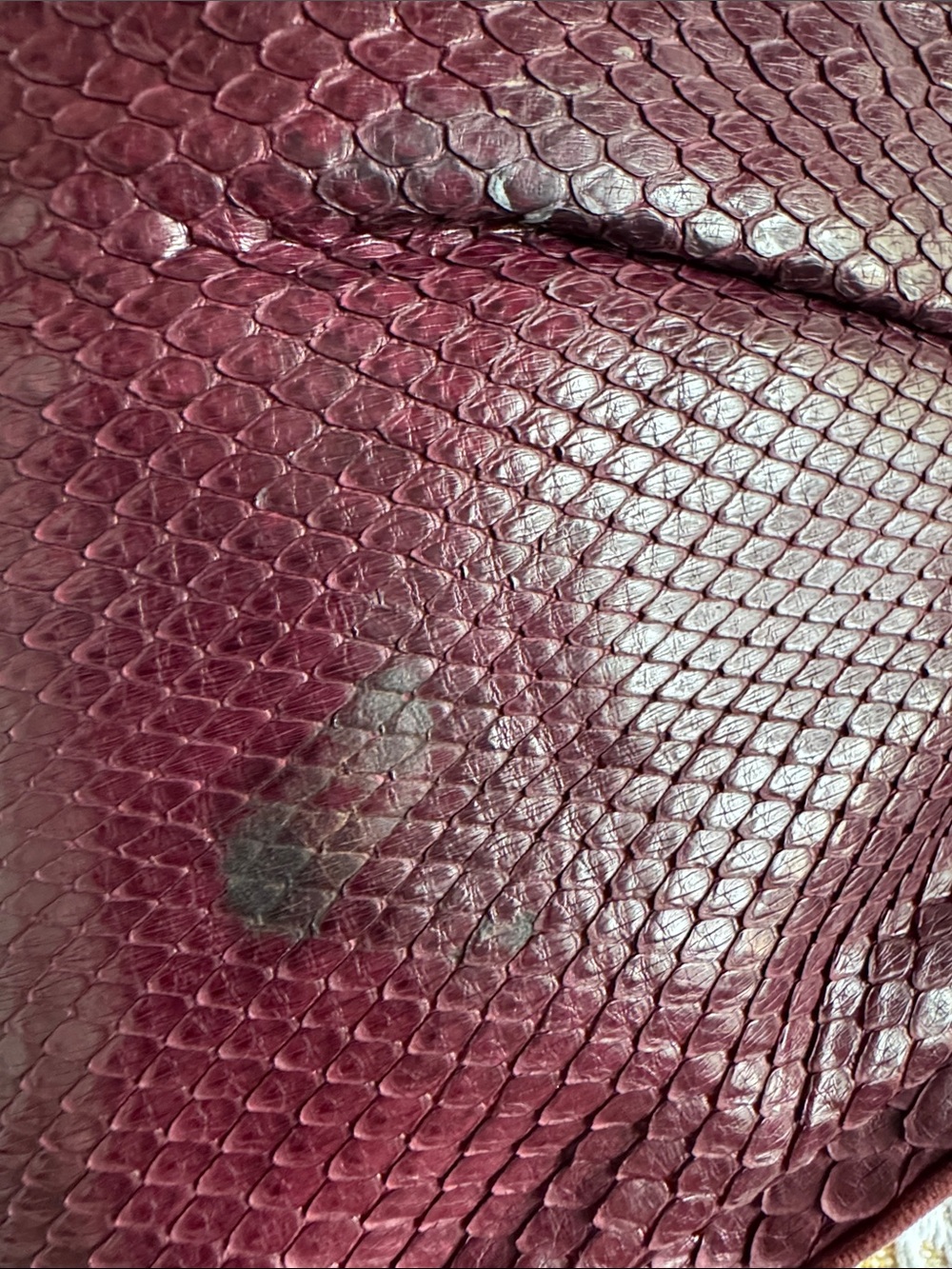 Bottega veneta snakeskin clutch - Picture 9 of 9